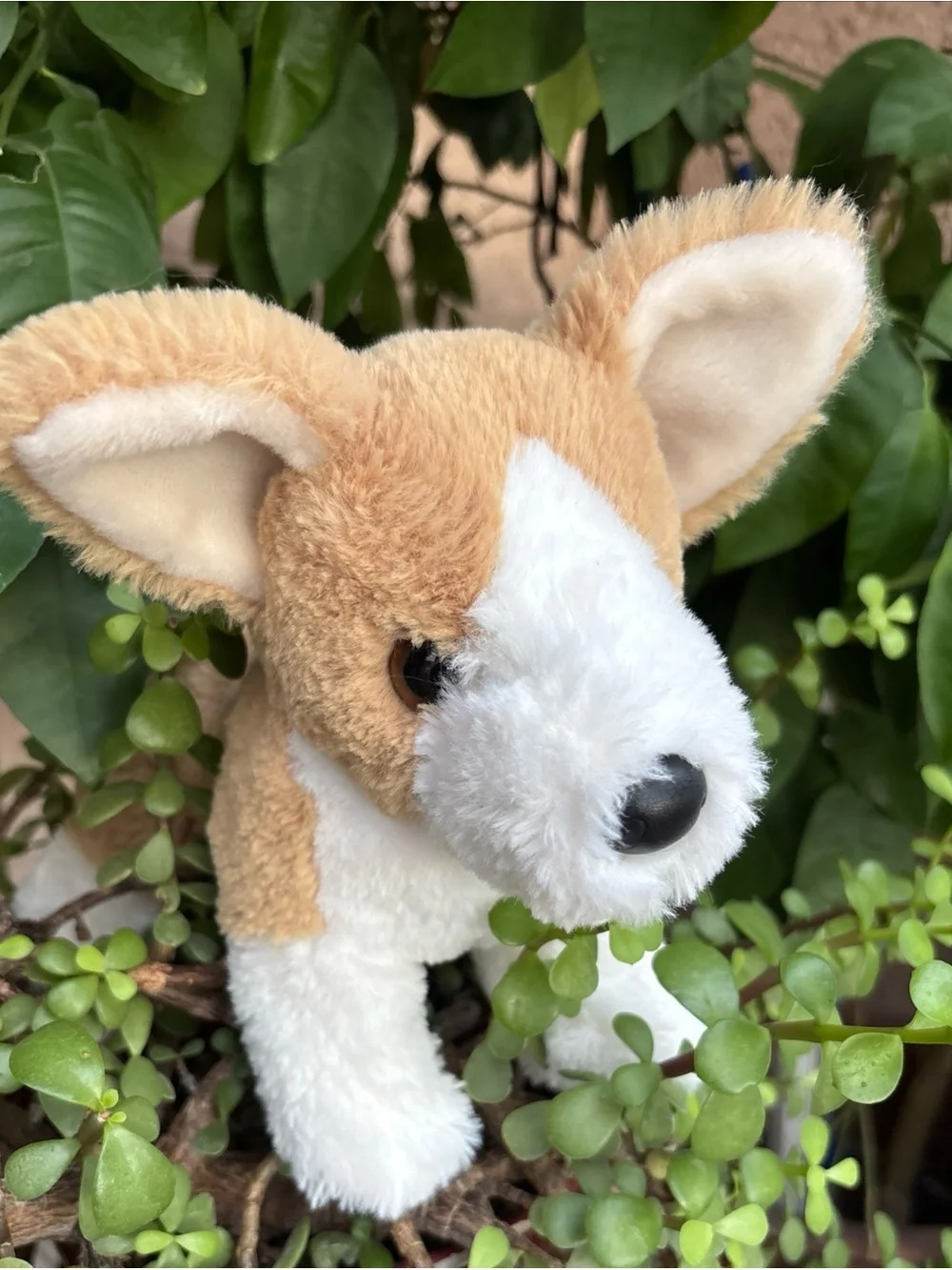 Douglas INGRID the Welsh Pembroke Corgi Plush 11” EUC collectible dog